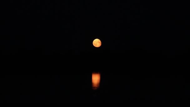 満月は地平線の上に昇る 水の中の月の反射は — ストック動画