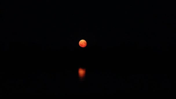 Pleine Lune Lève Dessus Horizon Reflet Lune Dans Eau — Video