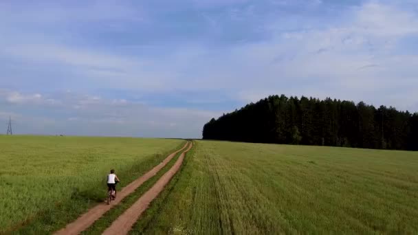 航空摄影 女孩骑自行车在泥泞的路上骑在麦田和黑麦地里 — 图库视频影像