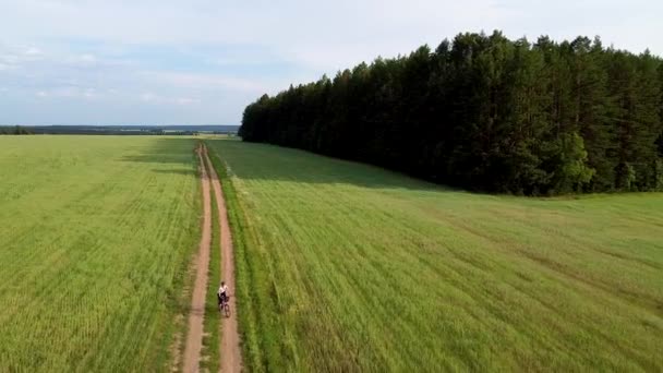 Aerial Photography Girl Rides Dirt Road Bicycle Fields Wheat Rye — Stock Video