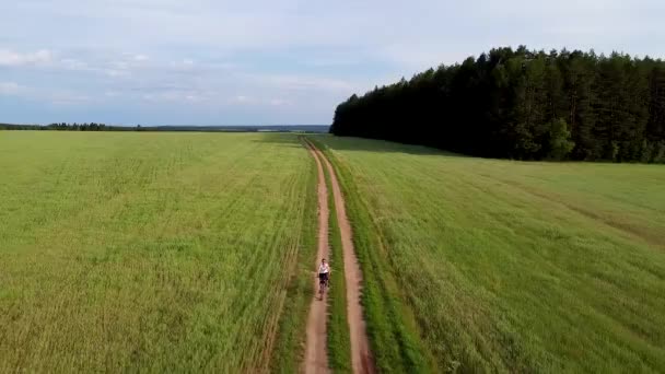 航空摄影 女孩骑自行车在泥泞的路上骑在麦田和黑麦地里 — 图库视频影像