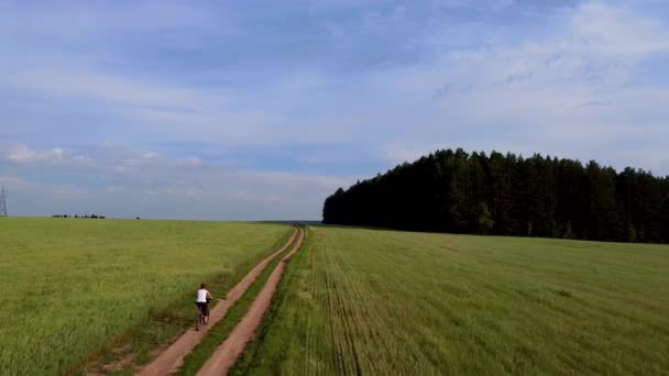 Luftaufnahmen Mädchen Fährt Mit Fahrrad Auf Feldweg Zwischen Weizen Und — Stockvideo