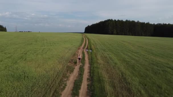 Letecká fotografie. Dívka jezdí na polní cestě na kole mezi pšeničnými a žitnými poli