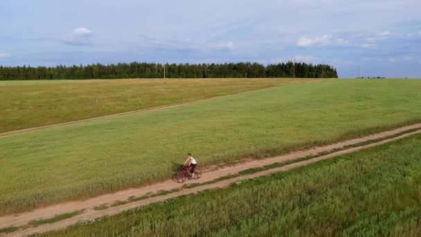 Аэрофотосъемка Девушка Едет Грунтовой Дороге Велосипеде Среди Полей Пшеницы Ржи — стоковое видео