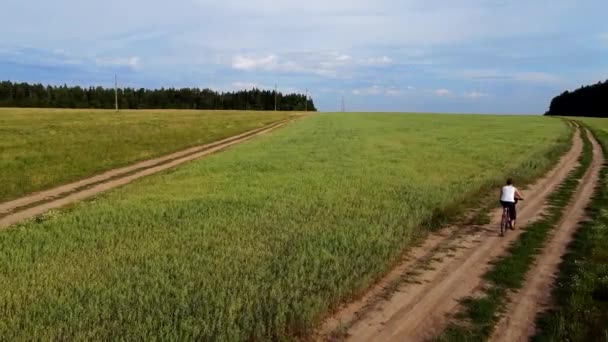 Fotografía Aérea Chica Paseos Camino Tierra Una Bicicleta Entre Campos — Vídeos de Stock