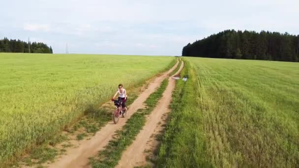 空中写真 小麦とライ麦の畑の間の自転車で未舗装の道路に乗る女の子 — ストック動画