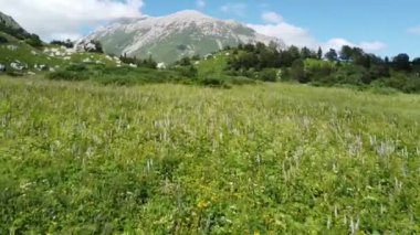 Kafkasların dağları. Güneşli bir yaz gününde zirve manzarası
