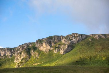 Rusya 'daki Kafkas Dağları' nın yaz manzarasında çiçek açan çayırlar.