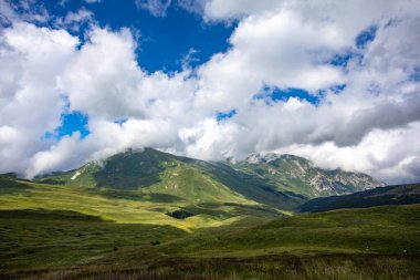Rusya 'daki Kafkas Dağları' nın yaz manzarasında çiçek açan çayırlar.
