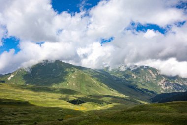 Rusya 'daki Kafkas Dağları' nın yaz manzarasında çiçek açan çayırlar.