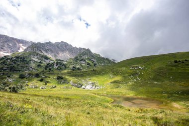 Rusya 'daki Kafkas Dağları' nın yaz manzarasında çiçek açan çayırlar.