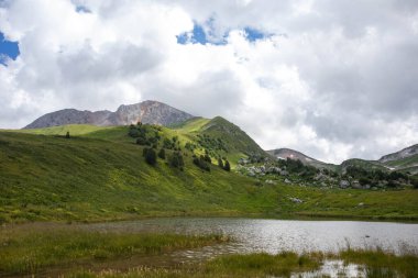 Rusya 'daki Kafkas Dağları' nın yaz manzarasında çiçek açan çayırlar.