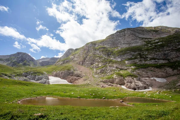 Rusya 'daki Kafkas Dağları' nın yaz manzarasında çiçek açan çayırlar.