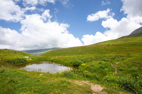 俄罗斯喀尔喀索斯山脉夏季风景秀丽的草甸 — 图库照片