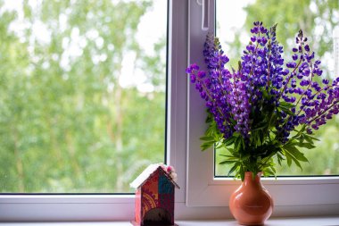 Mavi ve mor lupin çiçekleri pencerenin beyaz pencere eşiğinde durur.