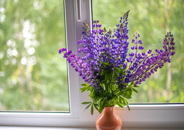 Mavi ve mor lupin çiçekleri pencerenin beyaz pencere eşiğinde durur.