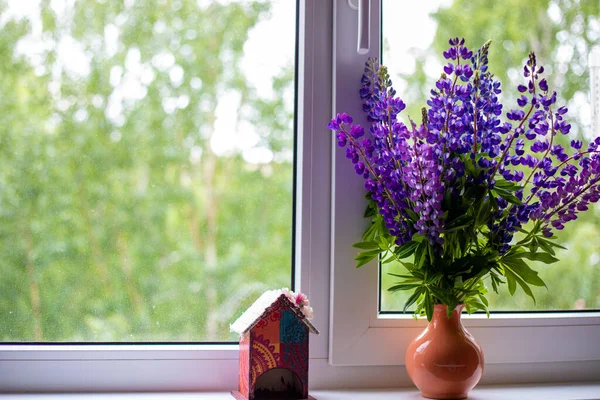 Mavi ve mor lupin çiçekleri pencerenin beyaz pencere eşiğinde durur.