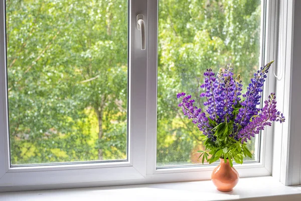 Mavi ve mor lupin çiçekleri pencerenin beyaz pencere eşiğinde durur.
