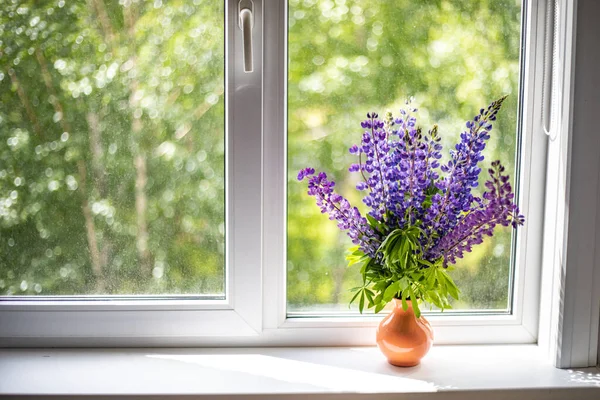 Flores Altramuz Azul Púrpura Alféizar Blanco Ventana — Foto de Stock