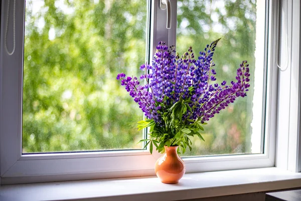 Mavi ve mor lupin çiçekleri pencerenin beyaz pencere eşiğinde durur.