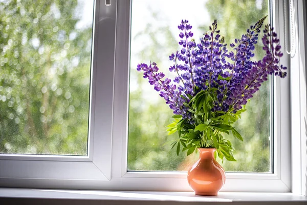 Mavi ve mor lupin çiçekleri pencerenin beyaz pencere eşiğinde durur.