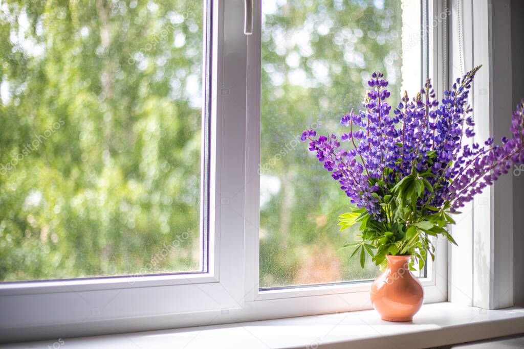 Blue and purple lupine flowers stand on a white windowsill on the window