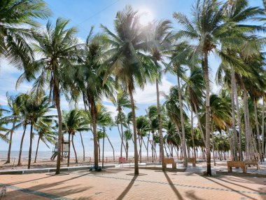 Tayland 'daki Bangsaen plajı..