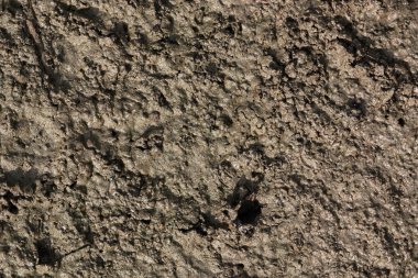 Islak, yumru yumru ve kaba çamur yüzeyinin yukarıdan aşağı dokusu.