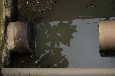 Durgun bir su çukurundaki iki metal ve beton drenaj borusu, sakin yüzeydeki yeşilliğin yansımasıyla bir şehir manzarası yaratıyor.