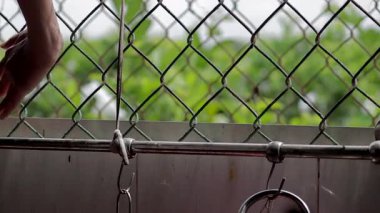 Zincirli tel örgü ile kaplı bir pencerenin önünden geçen bir kişi, bulanık yeşil bir arka plana bakarak, bir ayrılık ya da hapsedilme hissi uyandırır.