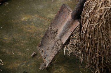 An old, rusty, and muddy shovel leaning against a pile of dry straw on a concrete floor, evoking the concept of agricultural hard work.