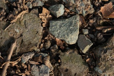 A top-down natural texture background of broken stones, gravel, and dry twigs under harsh sunlight, creating a grunge style.