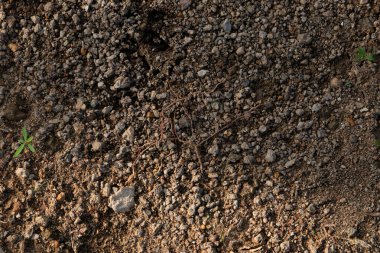 A top-down view of dry gravelly soil, a detailed and versatile natural texture background for various design projects