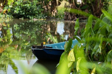 Küçük mavi bir tekne sakin bir kanala demirlemiş, yemyeşil yapraklarla çerçevelenmiş, sakin bir tropik kırsal manzarayı çağrıştırıyor..