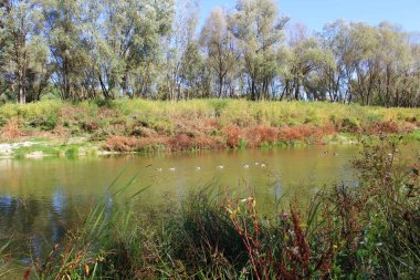Doğanın güzel manzarası