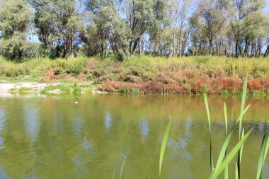 Güzel göl manzarası