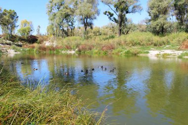 Nehrin güzel manzarası