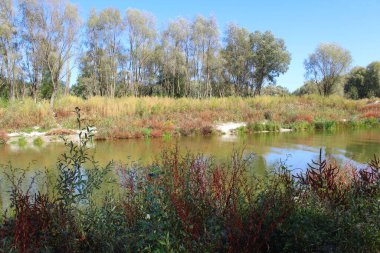 Nehir ve ağaçlarla dolu güzel sonbahar manzarası