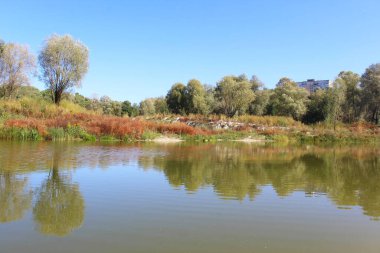 Nehir ve ağaçlarla dolu güzel bir manzara