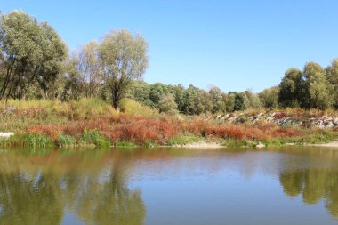 Nehir ve ağaçlarla dolu güzel bir manzara