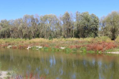 Dağlardaki sonbahar ormanı, güzel sonbahar manzarası. Doğa