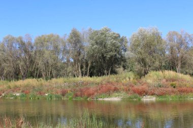 Dağlardaki sonbahar ormanı, güzel sonbahar manzarası. Doğa