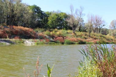 Parktaki göl.