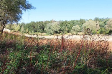 Dağlardaki sonbahar ormanı, güzel sonbahar manzarası. Doğa