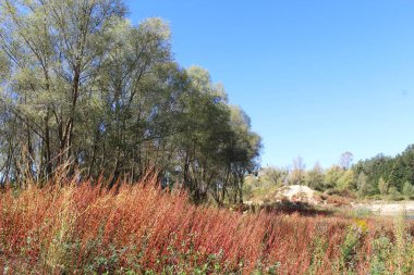 Dağlardaki sonbahar ormanı, güzel sonbahar manzarası. Doğa