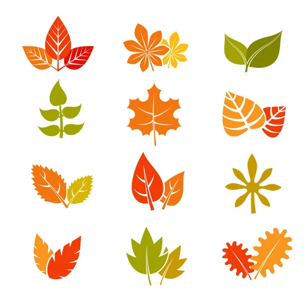 Multicolor autumn leaves flat vector icons. Fall feuille leaf collection