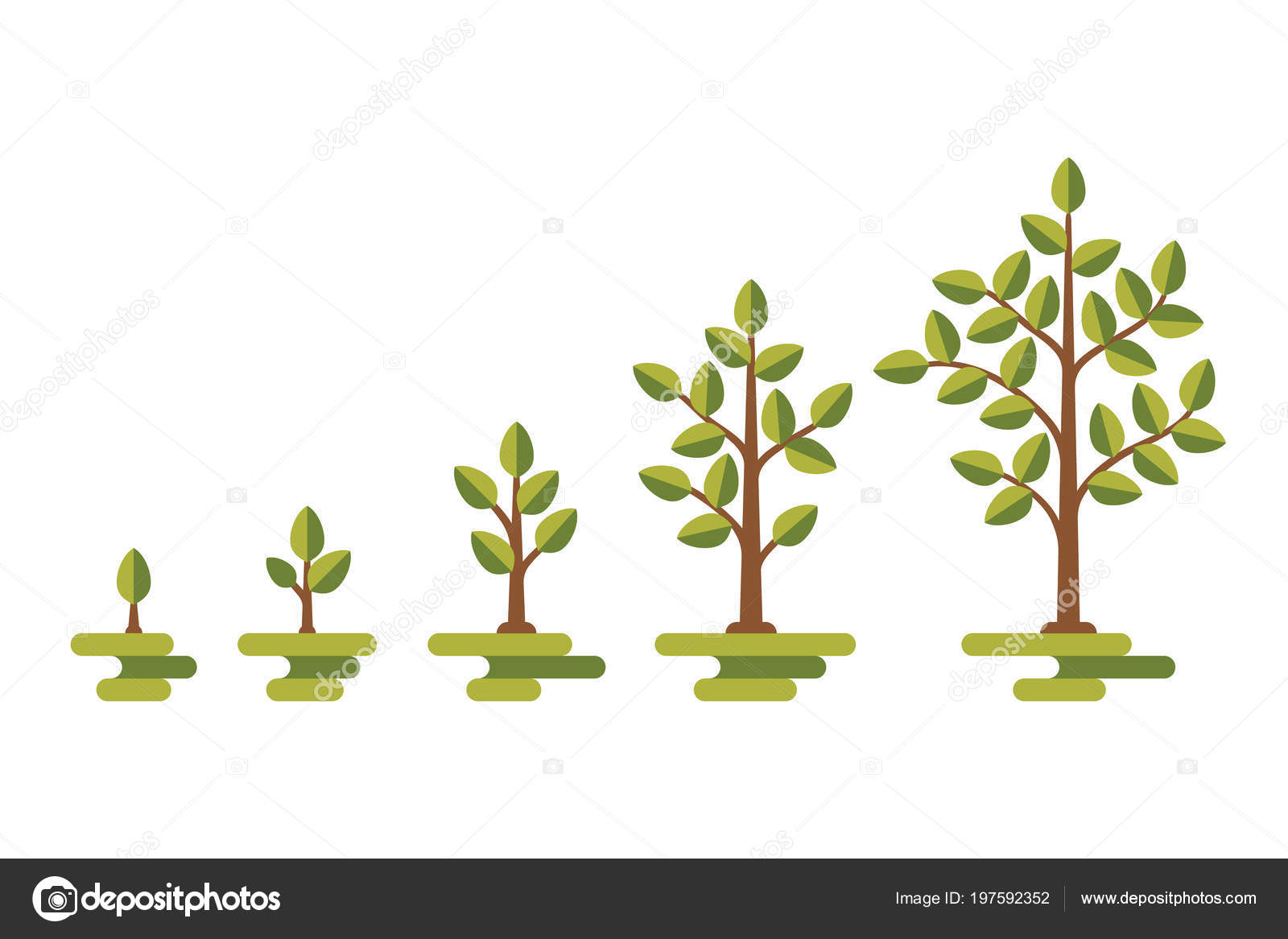 Green Tree Growth Vector Diagram Stock Vector Royalty Free Vector Image By C Microone