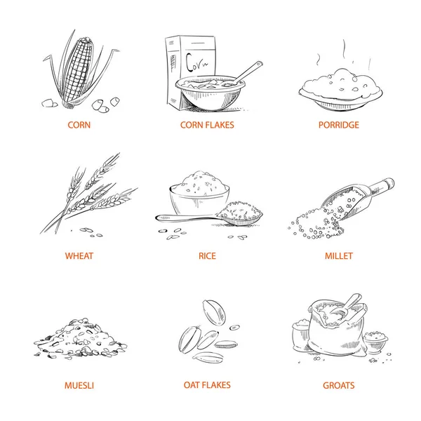 Doodle cereals groats, porridge, muesli, cornflakes, oat, rye, wheat, barley, millet, buckwheat, rice, corn vector set — Stock Illustration Doodle cereals groats, porridge, muesli, cornflakes, oat, rye, wheat, barley, millet, buckwheat, rice, corn vector set Vector Graphics