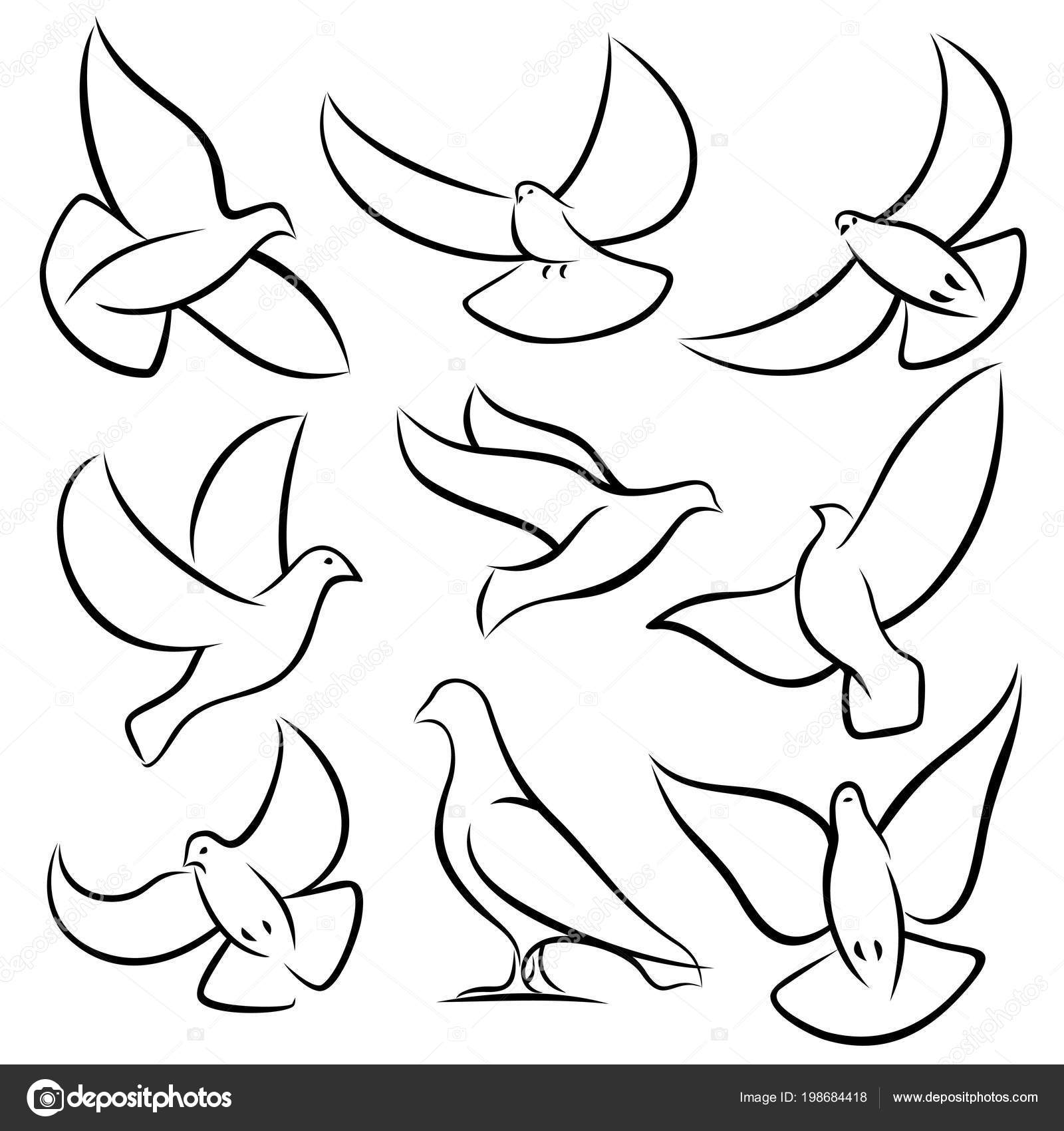 Décrire Le Vol De Colombes Pigeons Et Oiseaux Blancs Vector