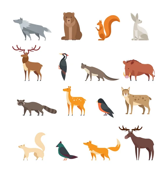 Forest wild animals and birds cartoon vector set isolated. Flat deer, bear, rabbit, squirrel, wolf, fox, raccoon, owl